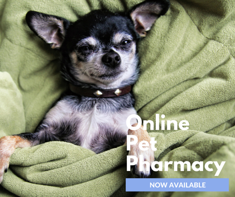 Online Pet Pharmacy/Pet Foods Now Available Animal Medical Center of